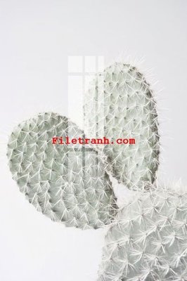 Tải file gốc File gốc in tranh nền tường tổng hợp K59387 (in tráng gương) siêu đẹpFile tranh gốc File gốc in tranh nền tường tổng hợp K59387 chất lượng cao