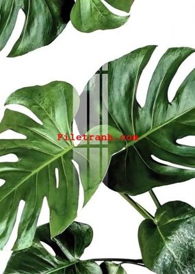 File tranh File gốc in tranh nền tường tổng hợp K59388 (bản gốc) in lụa dán tường