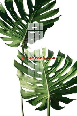 File tranh trang trí File gốc in tranh nền tường tổng hợp K59400 (file gốc)