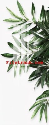 File PSD File gốc in tranh nền tường tổng hợp K59408 (gốc) nhiều lớp (multi-layer)