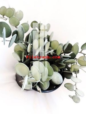 Tải file File gốc in tranh nền tường tổng hợp K59412 (gốc) chủ đề phong thủy