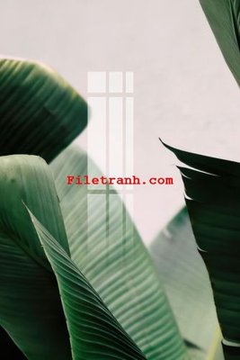 File gốc File gốc in tranh nền tường tổng hợp K59416 cho in ấn và thiết kế