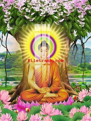 File PSD File gốc in tranh nền tường tổng hợp K59671 (bản gốc) đã tách nền