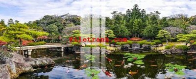 File gốc File gốc in tranh nền tường tổng hợp K59750 (PNG) nền trong suốt