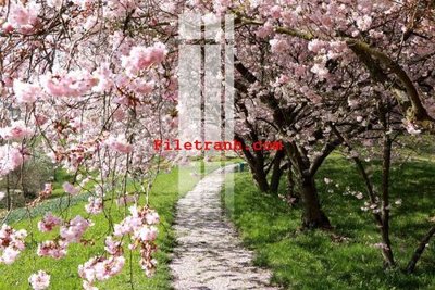 Download file gốc File gốc in tranh nền tường tổng hợp K59803 (in lụa) cao cấp