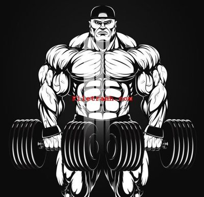 File tranh File gốc in tranh nền tường tổng hợp K59806 (gốc) chủ đề tĩnh vật