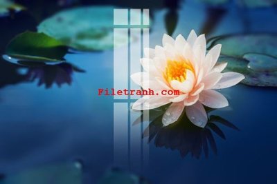 File tranh File gốc in tranh nền tường tổng hợp K59830 (bản gốc) trang trí văn phòng