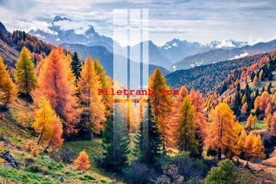 Tải file File gốc in tranh nền tường tổng hợp K59853 (gốc) in tranh tráng gương