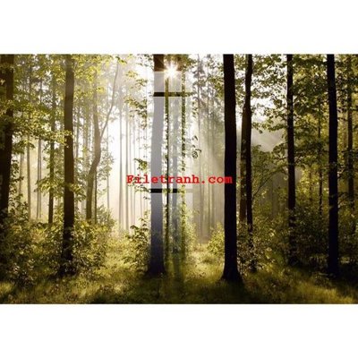 File tranh File gốc in tranh nền tường tổng hợp K59909 (bản gốc) in lụa 3D