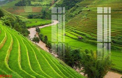 File gốc File gốc in tranh tổng hợp K5992 (PNG) chất lượng cao