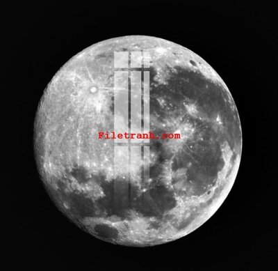 Tải file gốc in lụa File gốc in tranh nền tường tổng hợp K59922 siêu nét