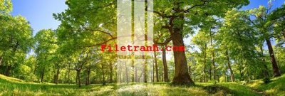 Tải file File gốc in tranh nền tường tổng hợp K60186 (gốc) in nhanh