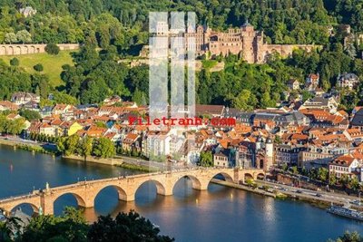 File in ấn cao cấp File gốc in tranh nền tường tổng hợp K60187 (file gốc)