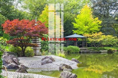 Tải file File gốc in tranh nền tường tổng hợp K60304 (ảnh gốc) file AI/EPS