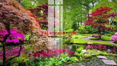 File tranh PSD File gốc in tranh nền tường tổng hợp K60323 chất lượng cao