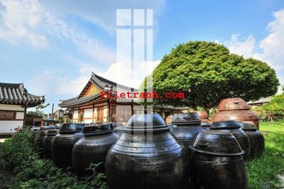 Ảnh gốc File gốc in tranh nền tường tổng hợp K60324 (nét căng) in mica