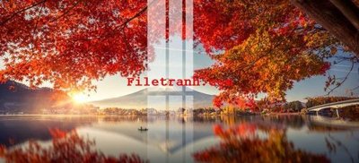 File PSD File gốc in tranh nền tường tổng hợp K60391 (gốc) cho designer