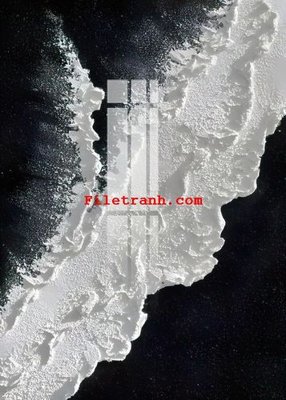 Download file File gốc in tranh nền tường tổng hợp K60416 (chất lượng in ấn)