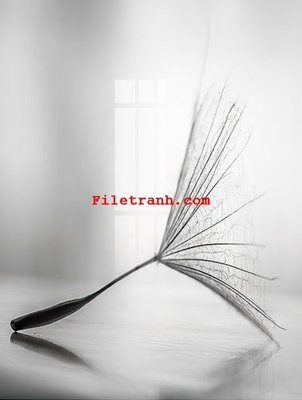 Tải file File gốc in tranh nền tường tổng hợp K60440 (gốc) làm file thiết kế