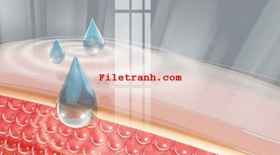 Tải file File gốc in tranh nền tường tổng hợp K60529 (ảnh gốc) in tranh kính