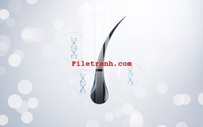 File PSD File gốc in tranh nền tường tổng hợp K60531 (gốc) tách lớp chi tiết