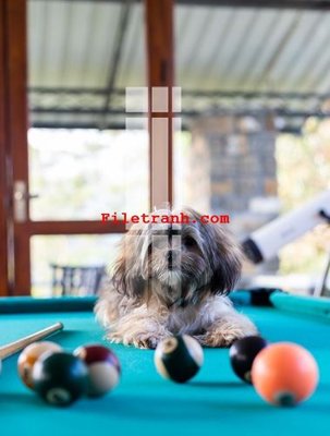 Mua file gốc File gốc in tranh nền tường tổng hợp K60735 (chất lượng) tại Filetranh.com