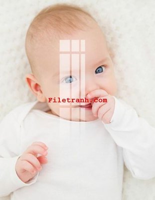 Tải file gốc File gốc in tranh nền tường tổng hợp K60762 (in bạt) quảng cáo