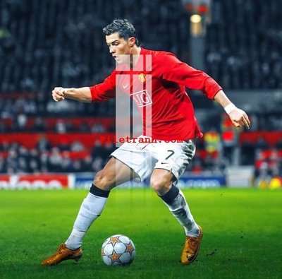 File ảnh File gốc in tranh nền tường tổng hợp K60812 (gốc) in PP, decal