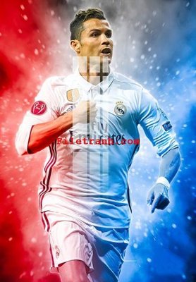 File tranh File gốc in tranh nền tường tổng hợp K60829 (gốc) chủ đề tĩnh vật