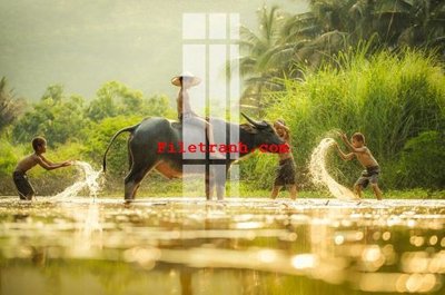 File tranh File gốc in tranh nền tường tổng hợp K61066 (gốc) in trên kính