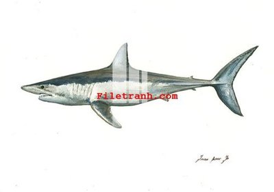 File gốc File gốc in tranh nền tường tổng hợp K61153 (AI/EPS) cho in ấn