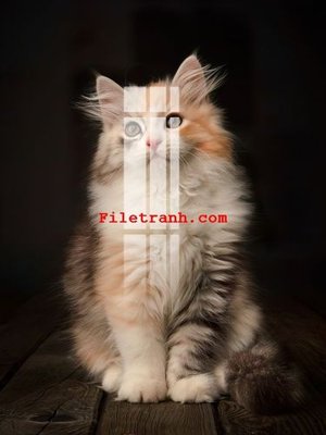 Mua file ảnh gốc File gốc in tranh nền tường tổng hợp K61218 (chất lượng cao)