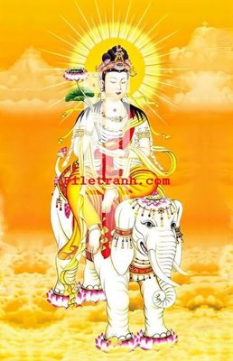 File in ấn cao cấp File gốc in tranh nền tường tổng hợp K61261 (file gốc)