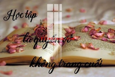 Tải file gốc File gốc in tranh nền tường tổng hợp K61693 (bản PSD) chỉnh sửa được