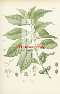 File gốc File gốc in tranh nền tường tổng hợp K61766 (PNG) không nền chất lượng