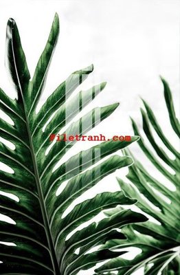 Tải file File gốc in tranh nền tường tổng hợp K61787 (ảnh gốc) file TIFF