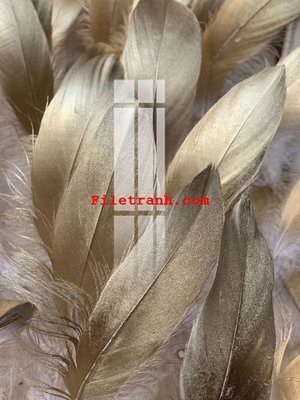 File ảnh File gốc in tranh nền tường tổng hợp K61803 (gốc) in quảng cáo ngoài trời