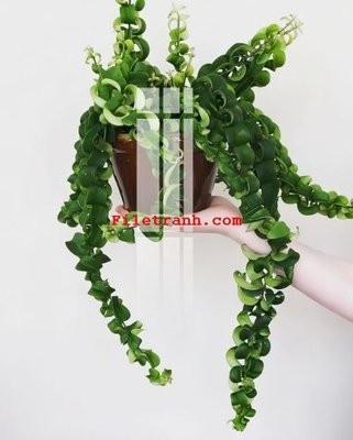 Tải về file gốc File gốc in tranh nền tường tổng hợp K62173 (dùng cho in quảng cáo)