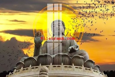 File tranh File gốc in tranh nền tường tổng hợp K62184 (gốc) in film