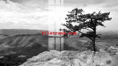 File in lụa File gốc in tranh nền tường tổng hợp K62185 (hoa văn) File gốc in tranh nền tường tổng hợp K62185