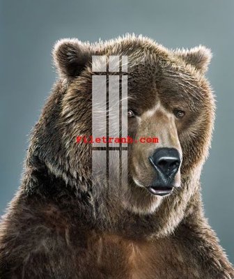 Ảnh gốc File gốc in tranh nền tường tổng hợp K62292 (nét căng) in mica