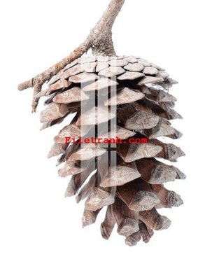 Tệp tin gốc File gốc in tranh nền tường tổng hợp K62297 (dùng cho in) File gốc in tranh nền tường tổng hợp K62297