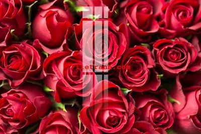 Download file gốc File gốc in tranh nền tường tổng hợp K62370 (in mica) trong suốt