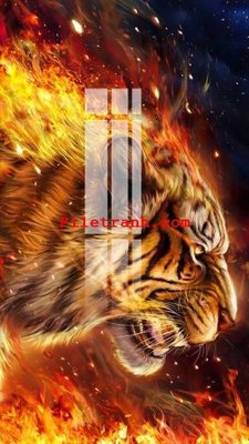 Mua file gốc File gốc in tranh nền tường tổng hợp K62375 (chất lượng) tại Filetranh.com