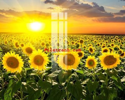 File tranh quảng cáo File gốc in tranh nền tường tổng hợp K62389 (file gốc) chuyên nghiệp