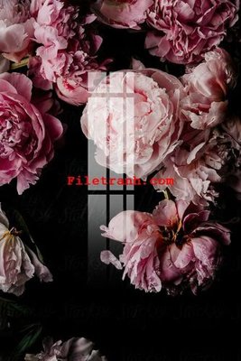 Chi tiết file gốc File gốc in tranh nền tường tổng hợp K62418 (cho in tráng gương)