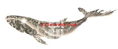 Tệp tin gốc File gốc in tranh nền tường tổng hợp K62441 (chất lượng) File gốc in tranh nền tường tổng hợp K62441