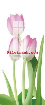 File tranh File gốc in tranh nền tường tổng hợp K62621 (ảnh gốc) độc quyền