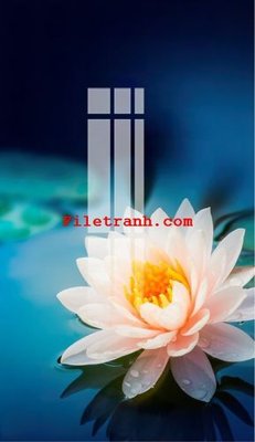 Tải file File gốc in tranh nền tường tổng hợp K62633 (ảnh gốc) in tranh kính