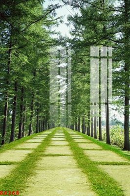 Download file File gốc in tranh tổng hợp K6268 (gốc) in mica ốp bếp